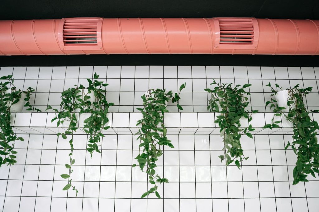 Indoor scene with green plants against tiled walls and pink ventilation pipe.